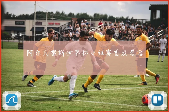 阿尔瓦雷斯世界杯小组赛首发悬念