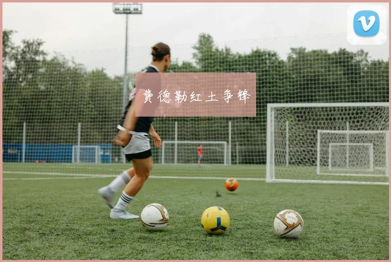 费德勒红土争锋