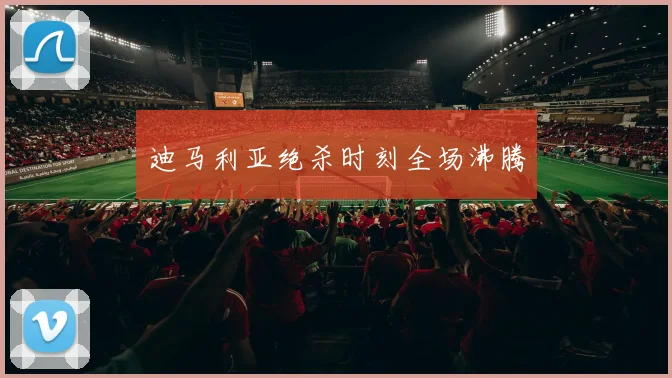 迪马利亚绝杀时刻全场沸腾