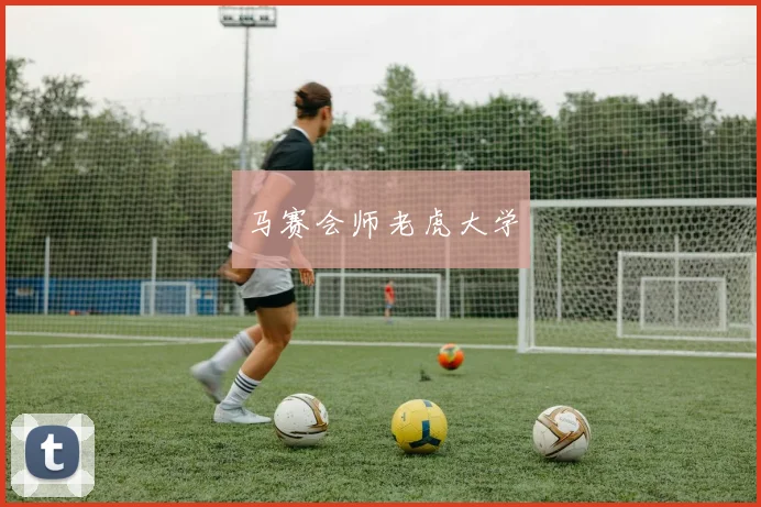 马赛会师老虎大学