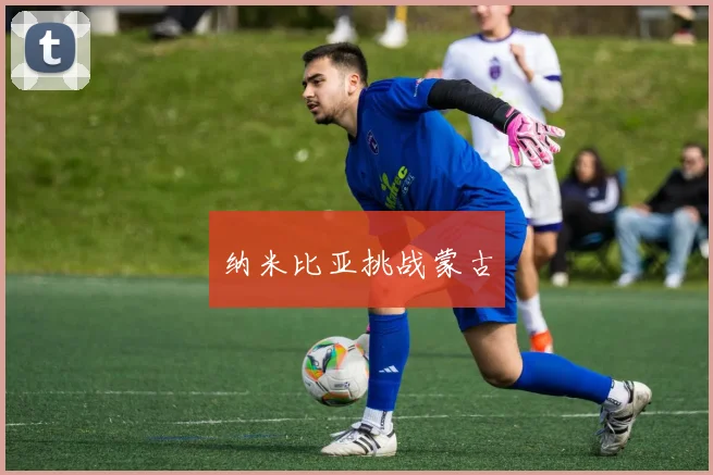 纳米比亚挑战蒙古