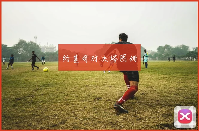 约基奇对决塔图姆