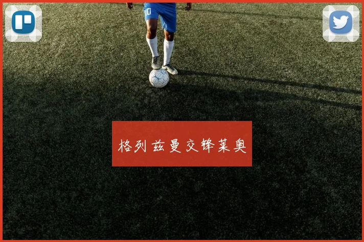 格列兹曼交锋莱奥