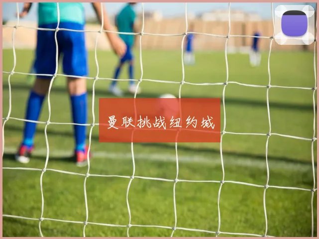 曼联挑战纽约城