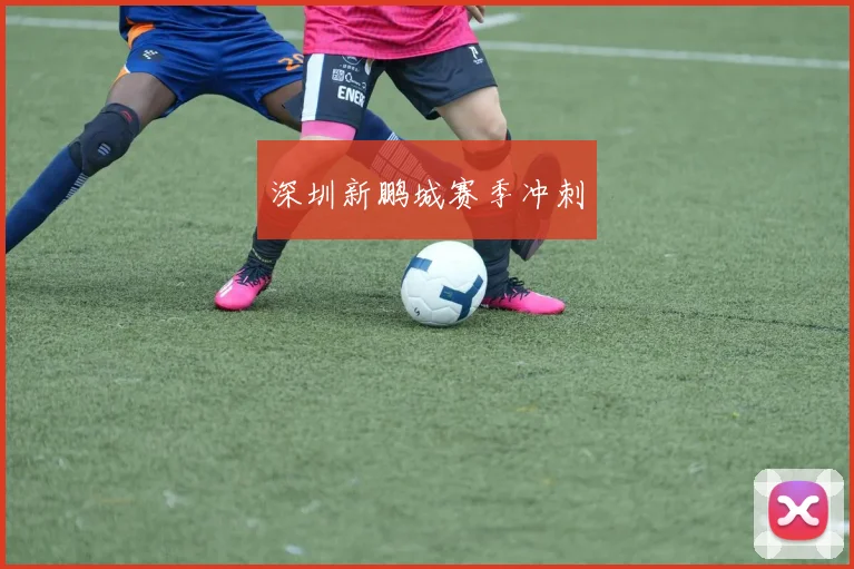 深圳新鹏城赛季冲刺