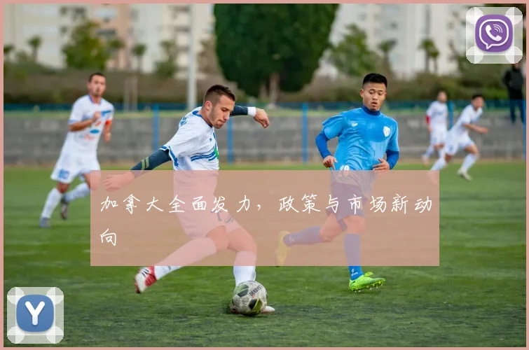 加拿大全面发力，政策与市场新动向