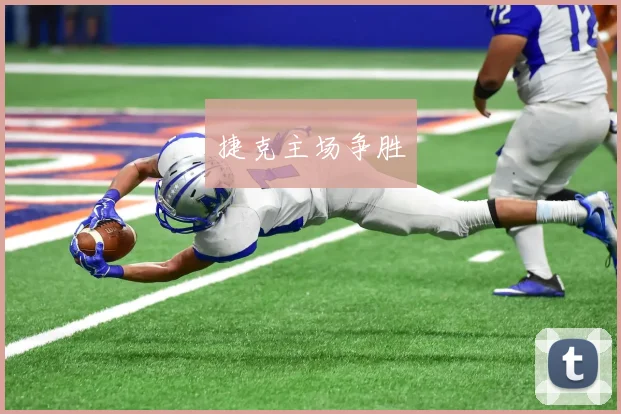 捷克主场争胜