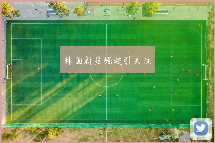 韩国新星崛起引关注