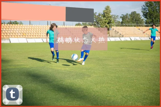 鹈鹕状态火热