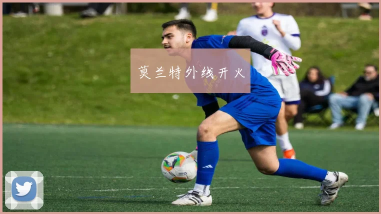 莫兰特外线开火