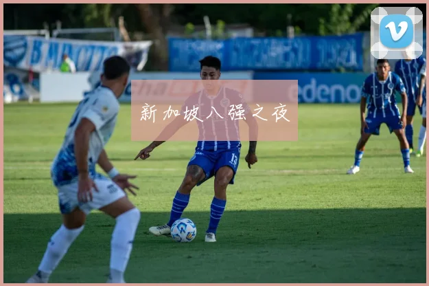 新加坡八强之夜