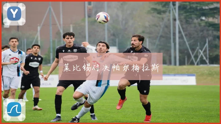 莱比锡对决帕尔梅拉斯