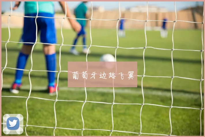 葡萄牙边路飞翼