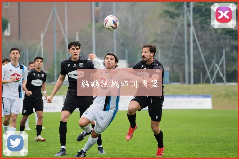 鹈鹕挑战四川男篮