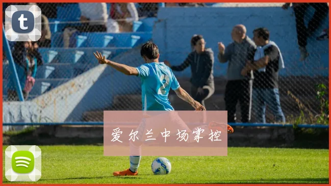 爱尔兰中场掌控