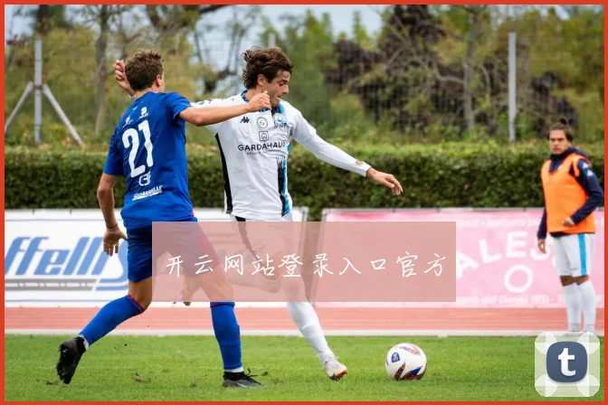 开云网站登录入口官方