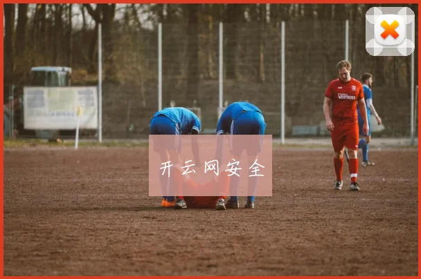开云网安全