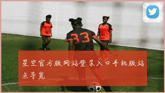 星空官方版网站登录入口手机版站点导览