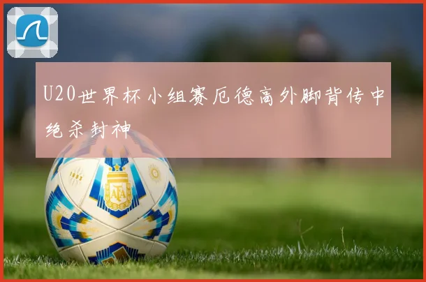 U20世界杯小组赛厄德高外脚背传中绝杀封神